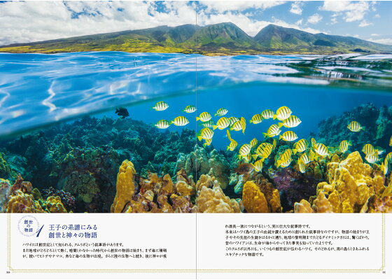 楽天ブックス Hawaii ハワイ 神秘の物語と楽園の絶景ーハワイの人々が愛する100の神話ー ハワイの人々が愛する100の神話 森出じゅん 本 楽天ブックス Hawaii ハワイ 神秘の物語と楽園の絶景ーハワイの人々が愛する100の神話ー ハワイの人々が愛する100の神話 森出じゅん 本